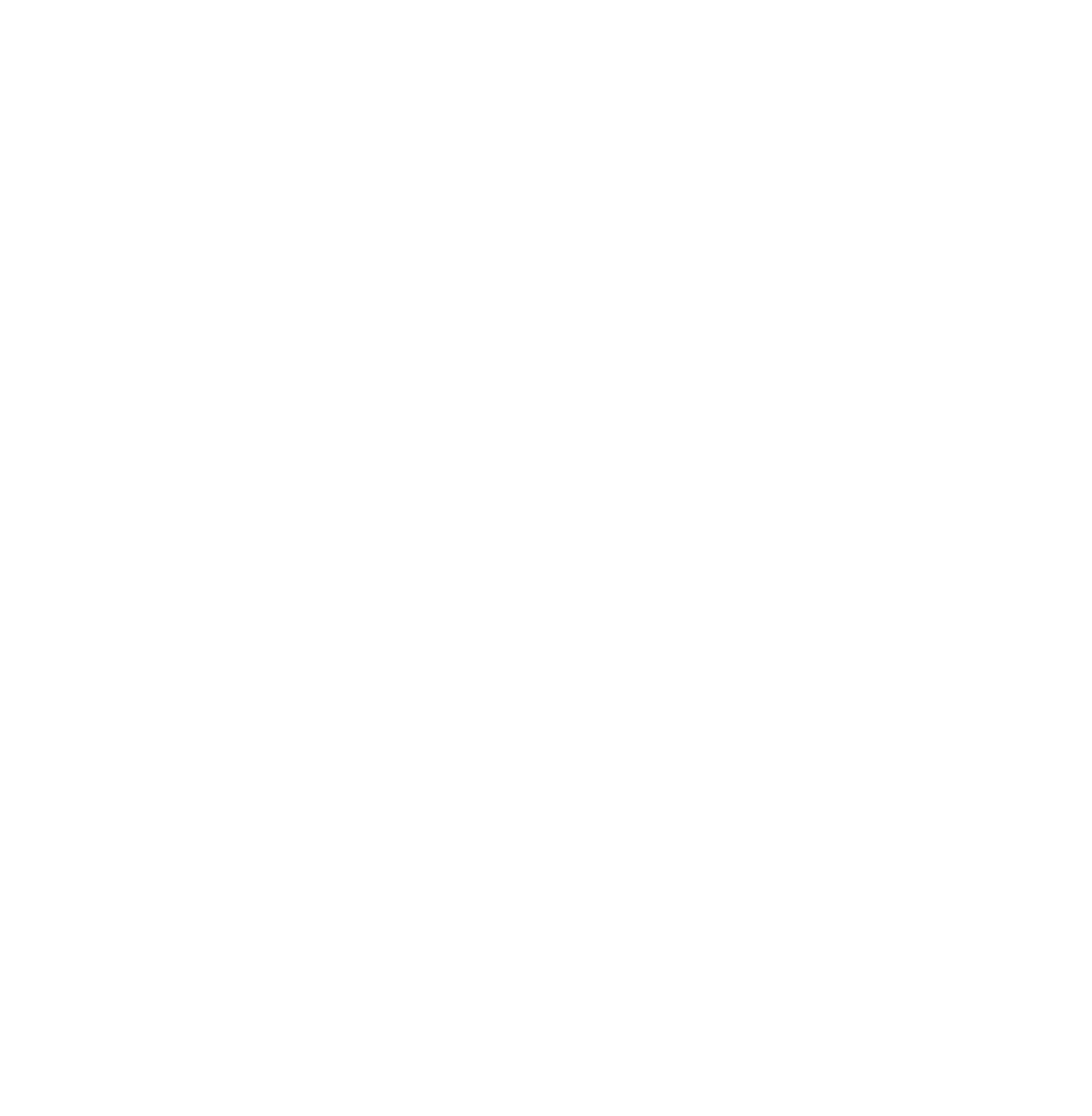 Twitter/X Logo White