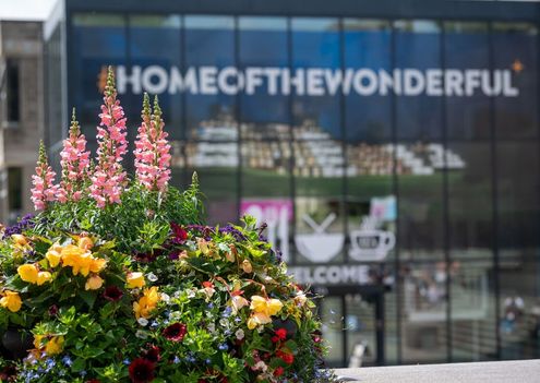 image-fe7d68ce738e930647c7e32b7963a9f1619f6dbb-1200x798-jpg