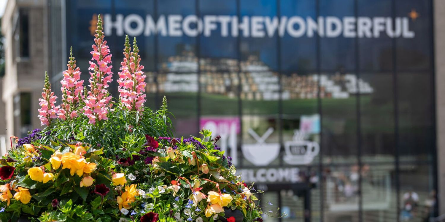 image-fe7d68ce738e930647c7e32b7963a9f1619f6dbb-1200x798-jpg